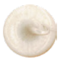 Maxisil - Natural Stone