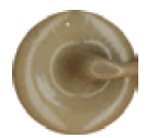Maxisil - Natural Stone