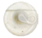 Maxisil - Natural Stone