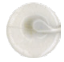 Maxisil - Membrane