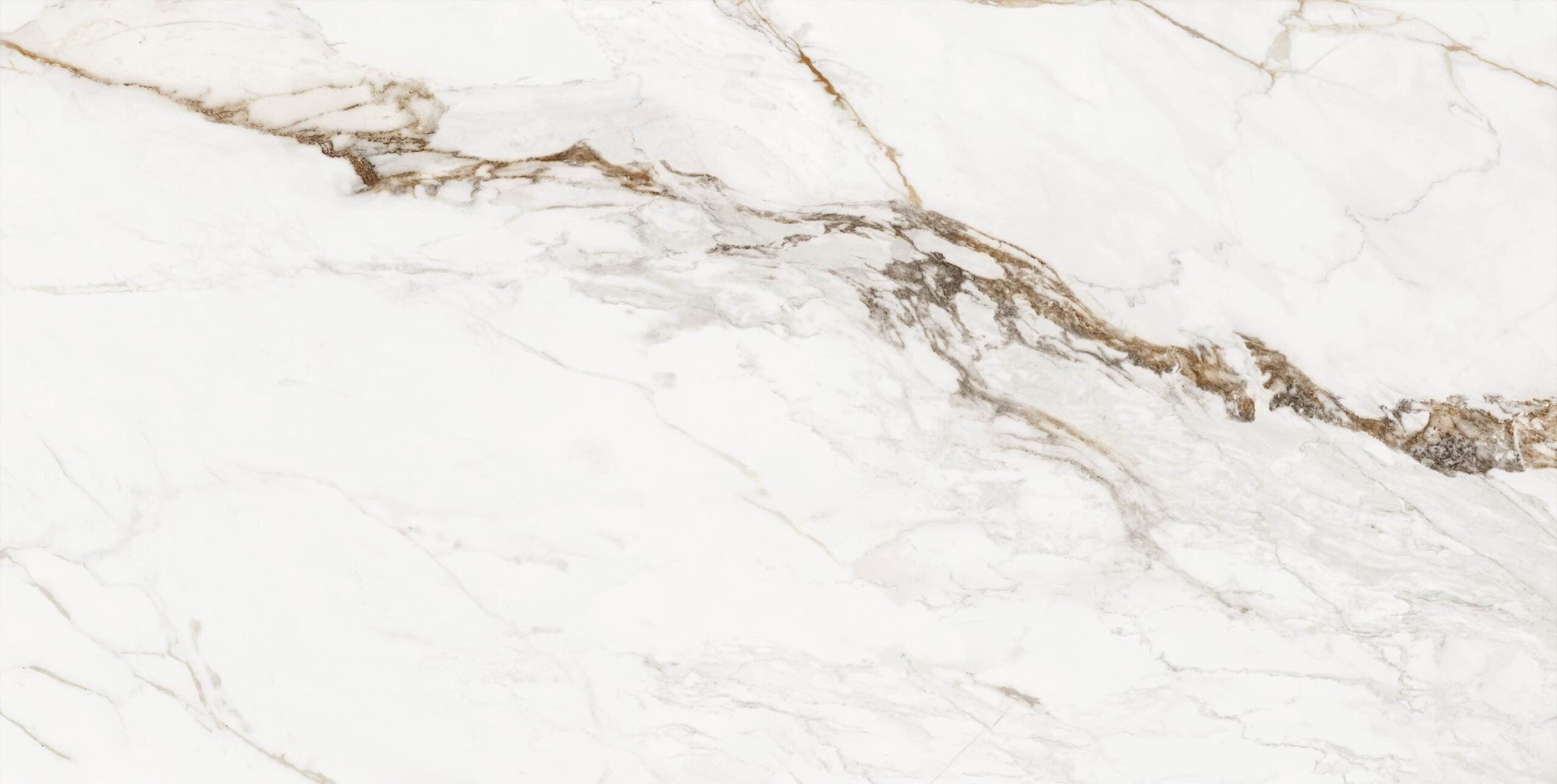 Paonazzo White Marble