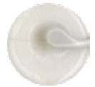 Maxisil - Natural Stone