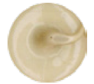 Maxisil - Natural Stone
