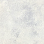 Tundra