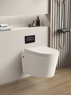 Avis Rimless Wall Hung Pan