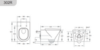 Avis Rimless Wall Hung Pan